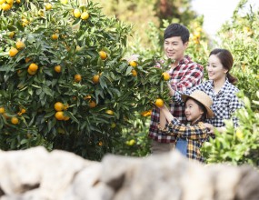 맘쓰허그의 다양한 소식을 만나보세요.